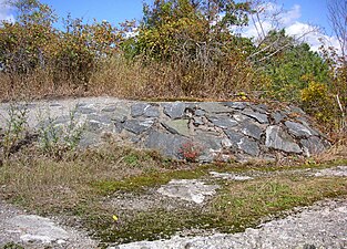 Igenväxt kulsprutevärn på Bergholmsberget