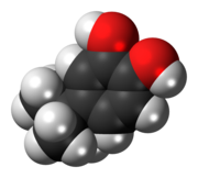 Space-filling model of the 4-tert-butylcatechol molecule