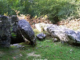 Dolmen in the Arbailles Forest