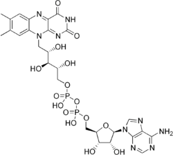 Flavin adenine dinucleotide.png