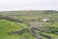 Muri pratorum apud Inisheer insulae Aran Hibernicae.