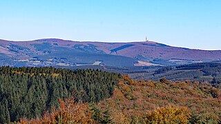 Les forêts de hêtres et de résineux couvrent la partie haute de la Montagne Noire dominée par le pic de Nore.