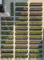 Image 59Rooftop farm on the Lower East Side