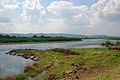 Dunajec bei Melsztyn