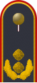 德國空軍 Generalmajor