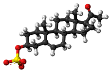 Ball-and-stick model of pregnenolone sulfate as an anion