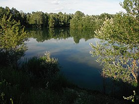 Revigliasco d'Asti