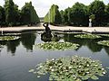 Water lilies at the Schönbrunn in Vienna, Austria.