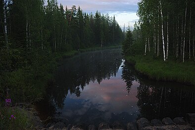 Стрельная (верхнее течение Онды) перед озером Медвежье