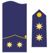 Teniente coronel