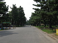 濱寺公園內景觀
