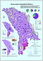 Etniile conform recensământului din anul 2004