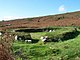 Holyhead Mountain Hut Circles.