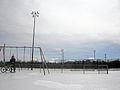 A winter day at the Sylvan Park