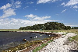 Strand på Närsholmen.