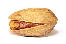 File:Pistachio macro whitebackground NS.jpg