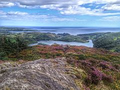 Lough Hyne, outside Skibbereen