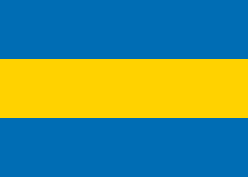 1921年-1954年的奥兰旗帜