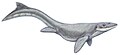 Prognathodon (Dollosaurus) lutugini