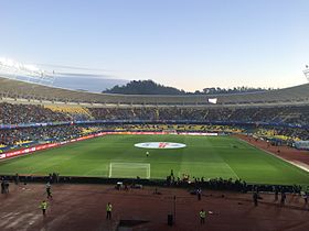 Estadio Ester Roa