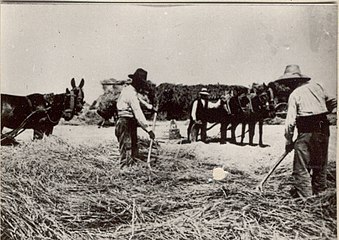 Scène agricole. Fondation Joaquín Díaz.