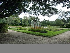 Der Rosengarten im Schulgarten