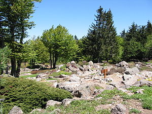 Jardin d'altitude du Haut Chitelet.