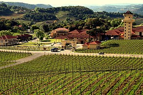 Vineyards valley in Rio Grande do Sul