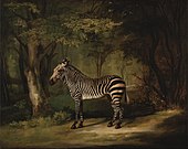 Lukisan zebra karya George Stubbs