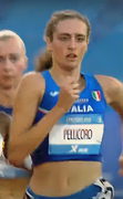 Laura Pellicoro