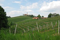 Village of Svetinje in the municipality of Ormož