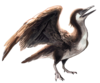 Yanornis martini