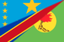 DRC flag