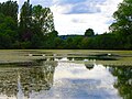 Diefflen, Weiher in der Auenzone mit dem Dieffler Kirchturm im Hintergrund