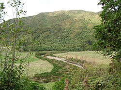 View from the Remutaka Rail Trail at Mangaroa