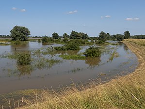 Ondergelopen uiterwaarden van de Waal