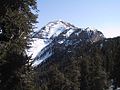 Image 24Mount Charleston (from Nevada)