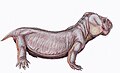 ディキノドン D. trigonocephalus 復元想像図