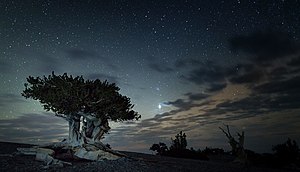 Vista nocturna