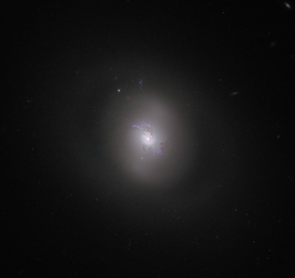 NGC 3516
