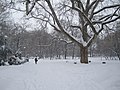 Le parc en hiver (on peut parfois patiner sur le lac, mais de moins en moins souvent avec le réchauffement climatique)