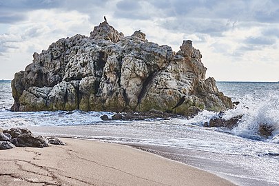 Penyal de la costa de Calella-Catalunya