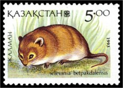 Aavikkounikeko kazakstanilaisessa postimerkissä.