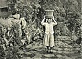 頭に水桶を載せて運ぶ鳥打地区の女性（1950年頃撮影）