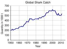 Graph of shark catch from 1950 to 2011, linear growth from less than 300,000 tons per year in 1950 to about 850,000 per year in 2000, before falling below 800,00 in the 2006-08 period.