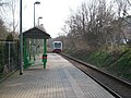 City-Bahn bei der Einfahrt in den Hp. Dittersbach (2016)