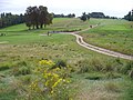 Image 11One of the several golf courses in Woking's borough in the mid/north-west of the county (from Portal:Surrey/Selected pictures)