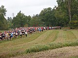 Lidingöloppet 2008