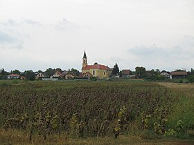 Veľký Biel