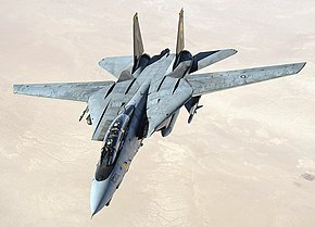 アメリカ海軍のF-14D